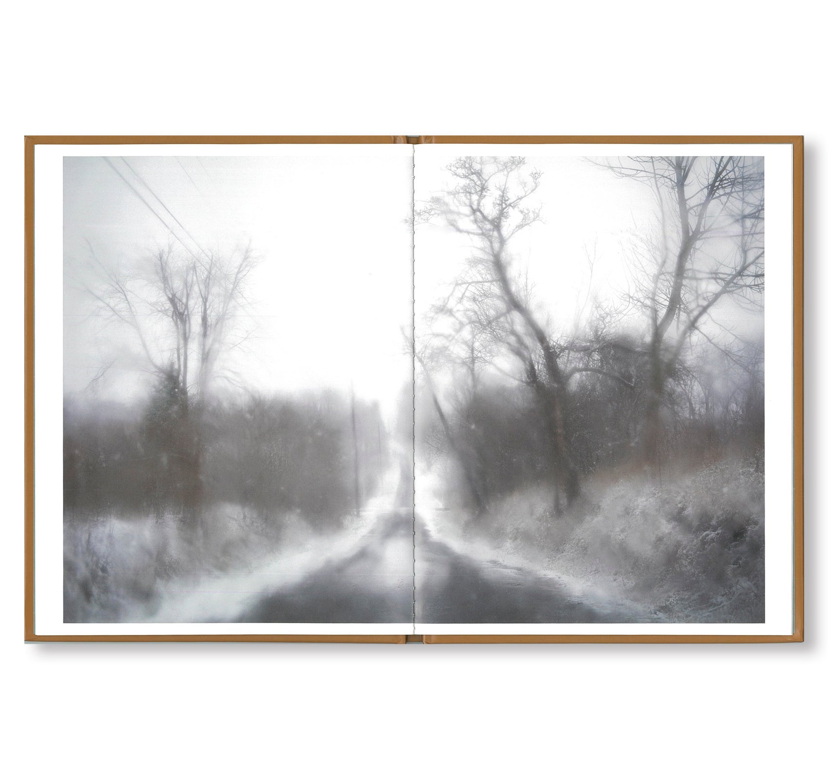 ONE PICTURE BOOK #93: SEASONS ROAD by Todd Hido