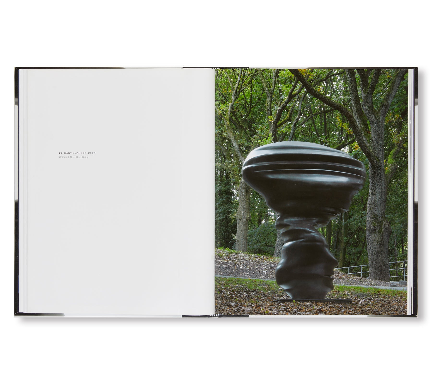 SCULPTURES AND DRAWINGS by Tony Cragg