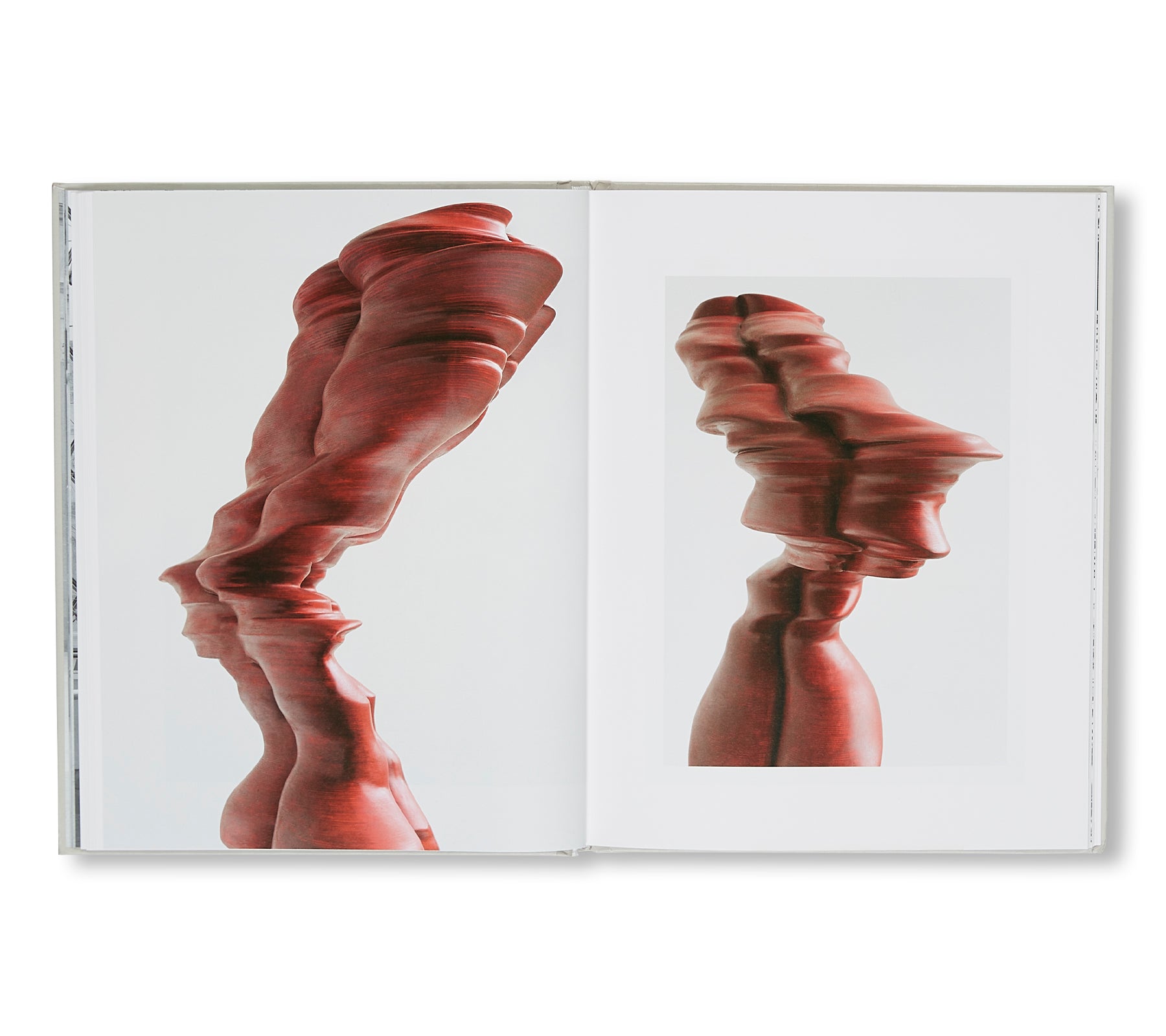 FIGURE OUT FIGURE IN by Tony Cragg