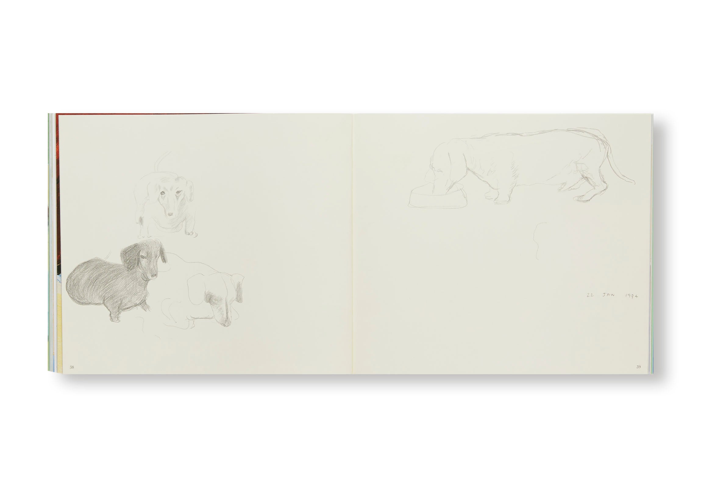 DAVID HOCKNEY'S DOG DAYS by David Hockney