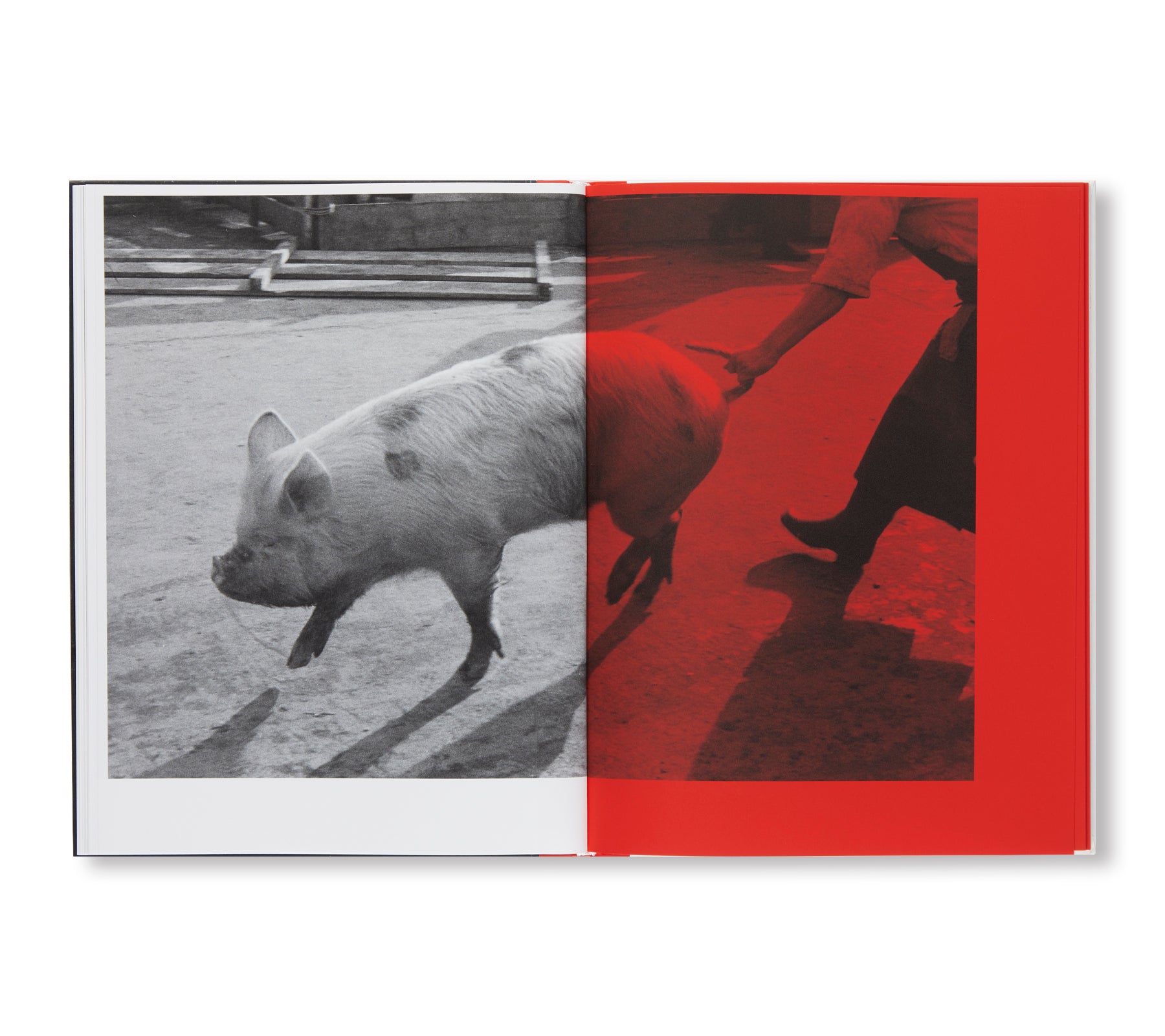 KILL THE PIG by Masahisa Fukase