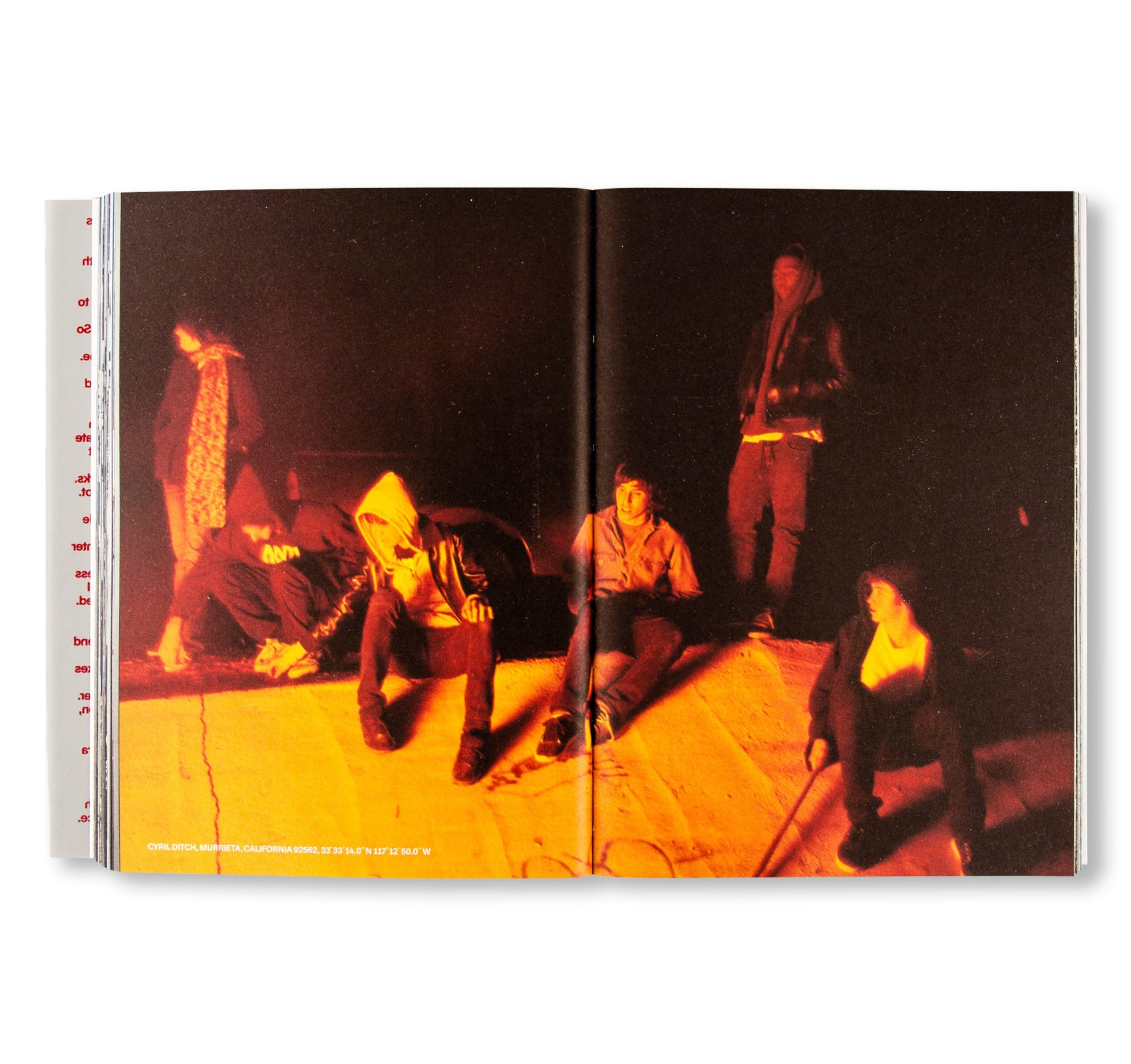 THE LAST SURVIVOR IS THE FIRST SUSPECT by Nick Haymes [SPECIAL EDITION]