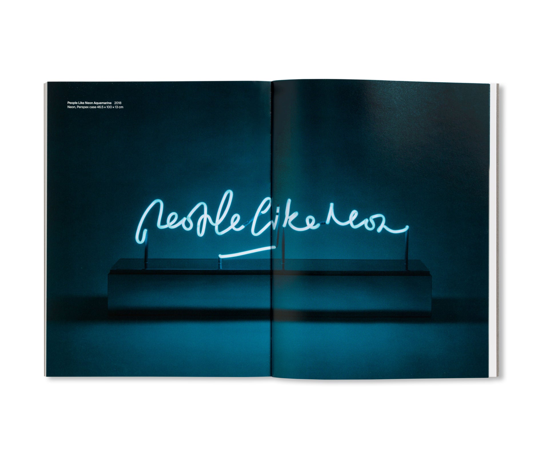 PRINTS AND MULTIPLES/ANNA BLESSMANN AND PETER SAVILLE by Peter Saville [SPECIAL EDITION]