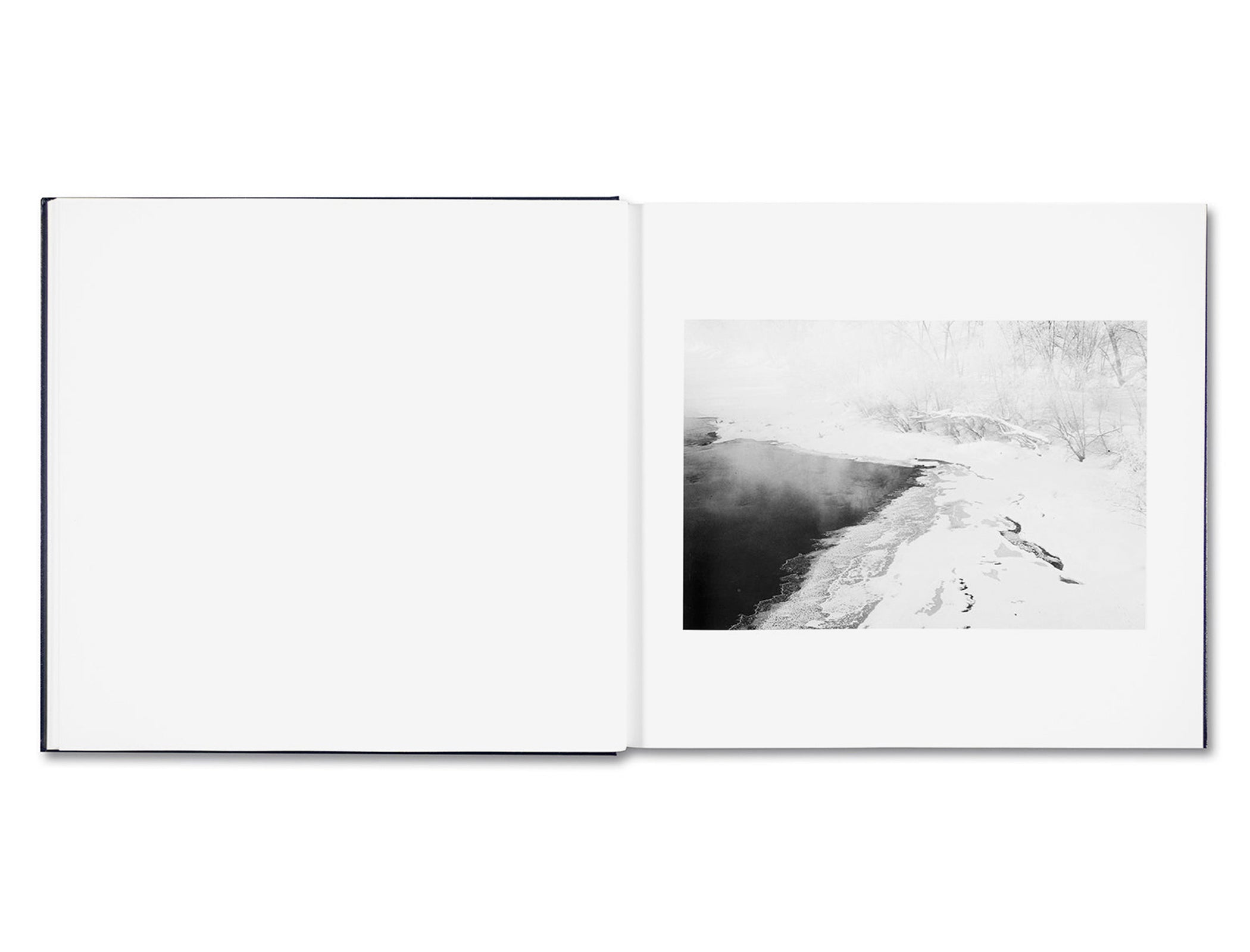 SOME SAY ICE by Alessandra Sanguinetti