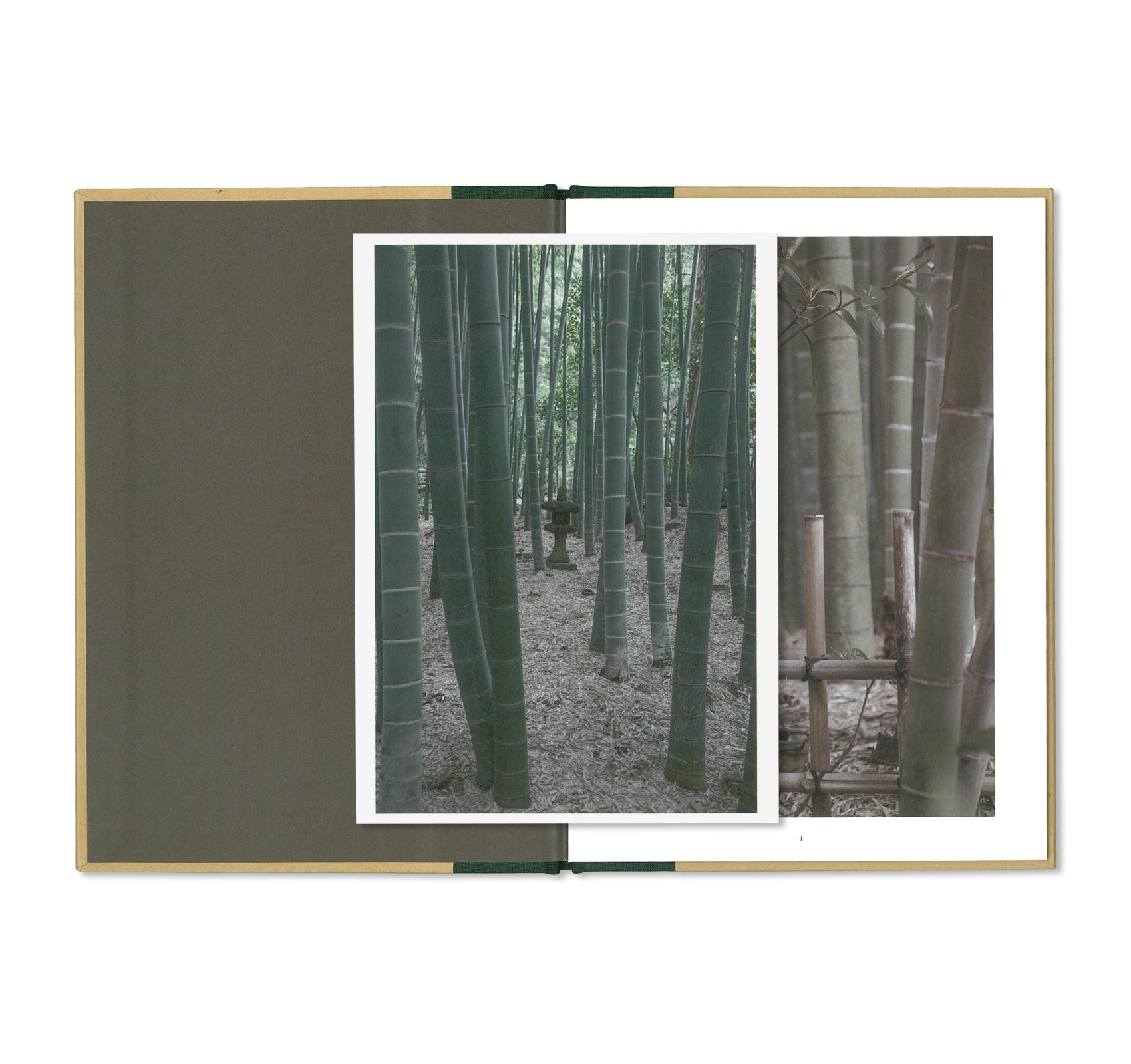 ONE PICTURE BOOK TWO #18: A WALK THROUGH A BAMBOO GROVE by David H. Gibson