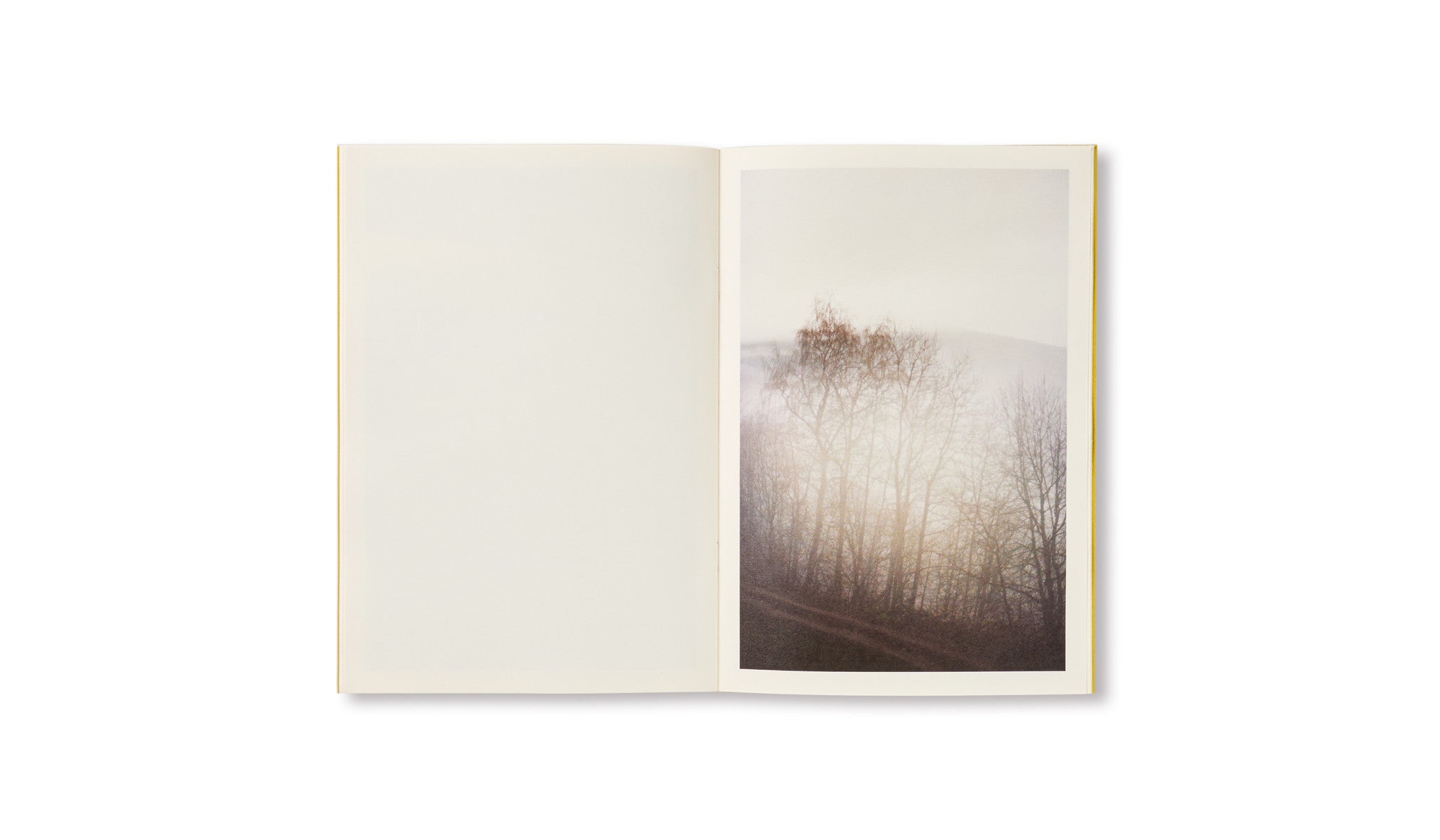 DISTANCE (PICTURES FOR AN UNTOLD STORY) by Ola Rindal [SPECIAL EDITION - A]
