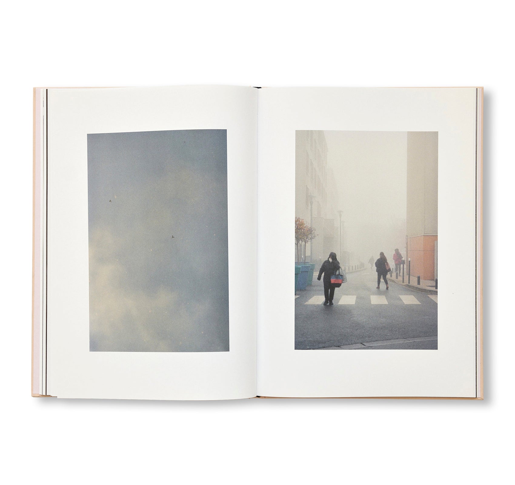 THE CLOUD, THE BIRD AND THE PUDDLE by Ola Rindal – twelvebooks