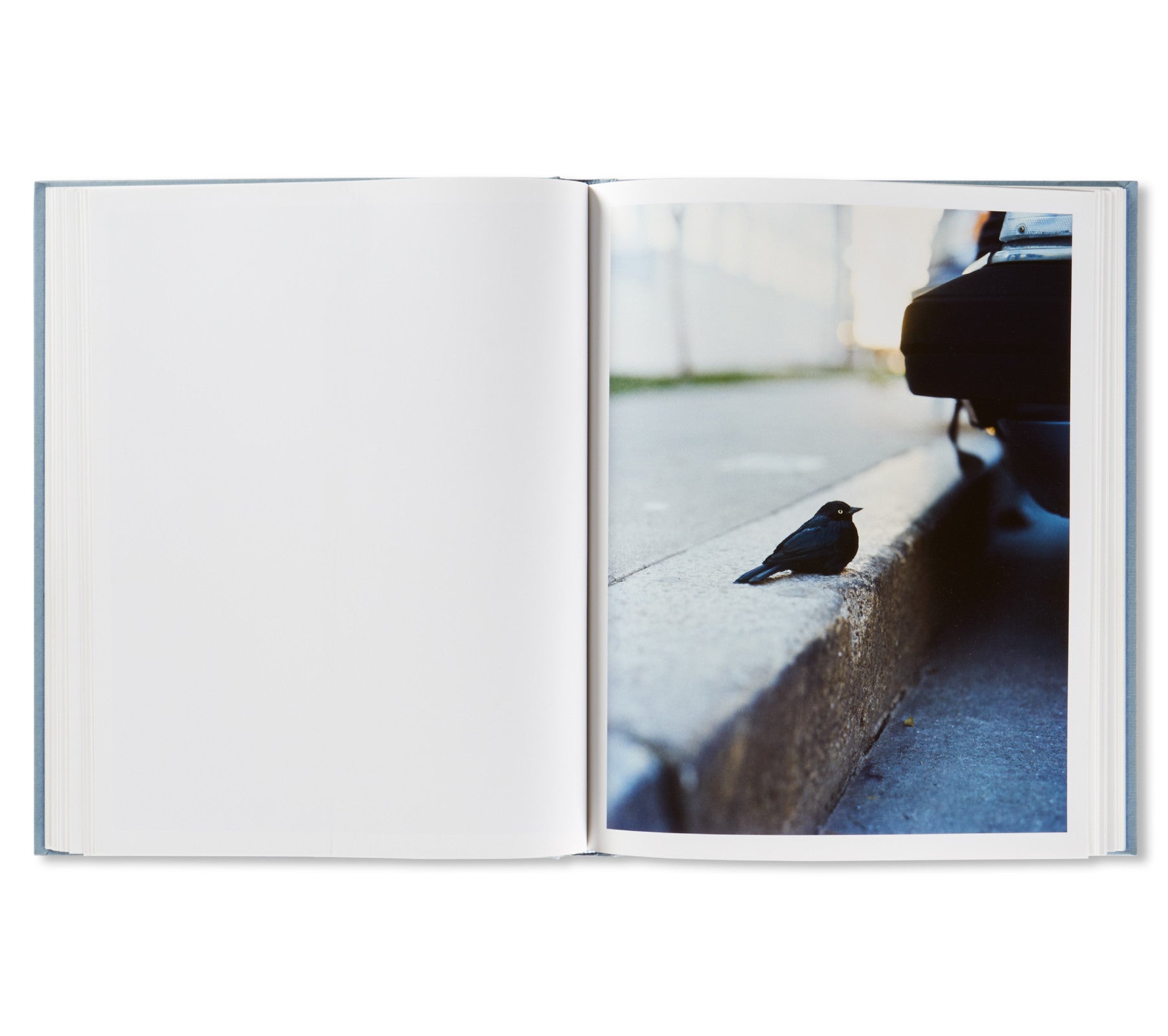 ZZYZX by Gregory Halpern [FIRST EDITION, FIRST PRINTING]