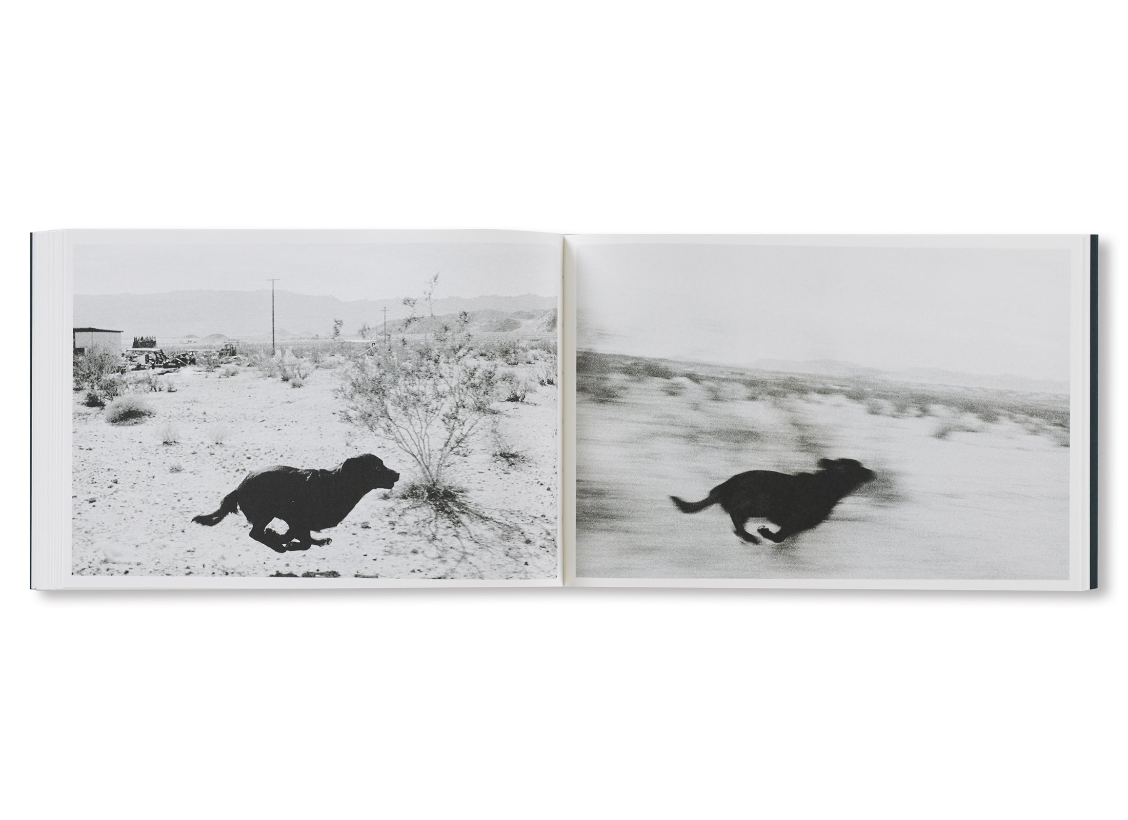 PICTURES FROM MOVING CARS by Joel Meyerowitz, Daido Moriyama, John Divola