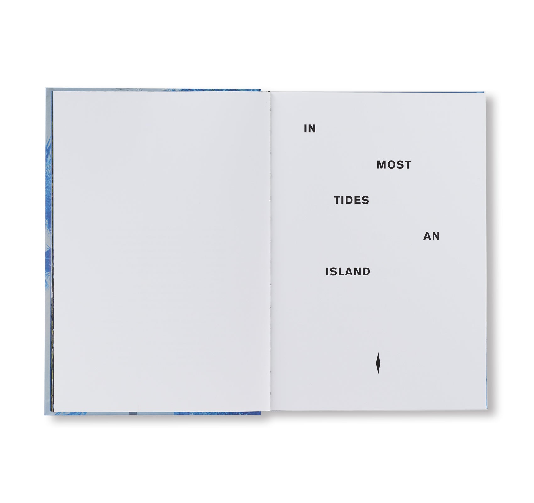 IN MOST TIDES AN ISLAND by Nicholas Muellner