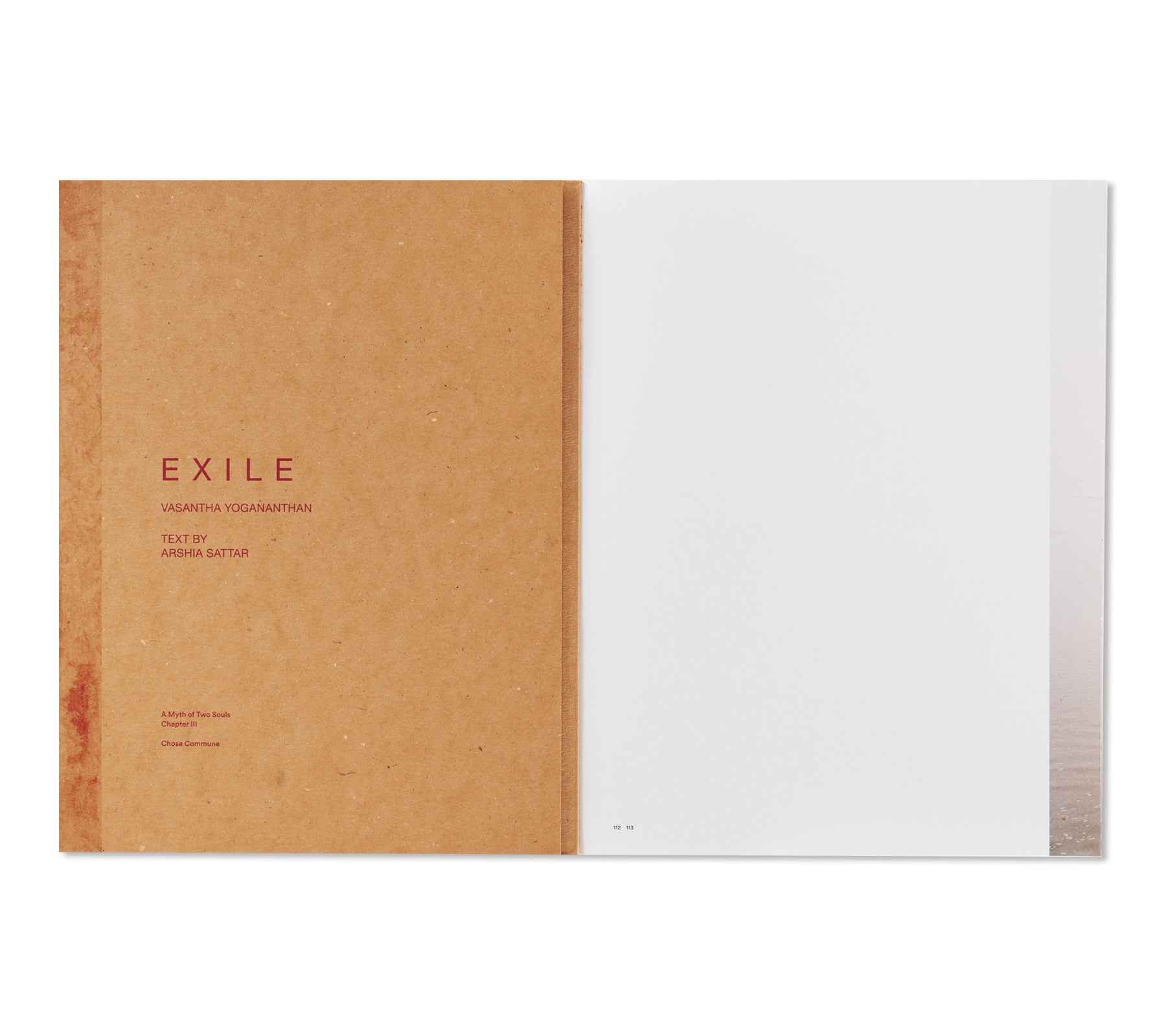 EXILE by Vasantha Yogananthan [SIGNED]