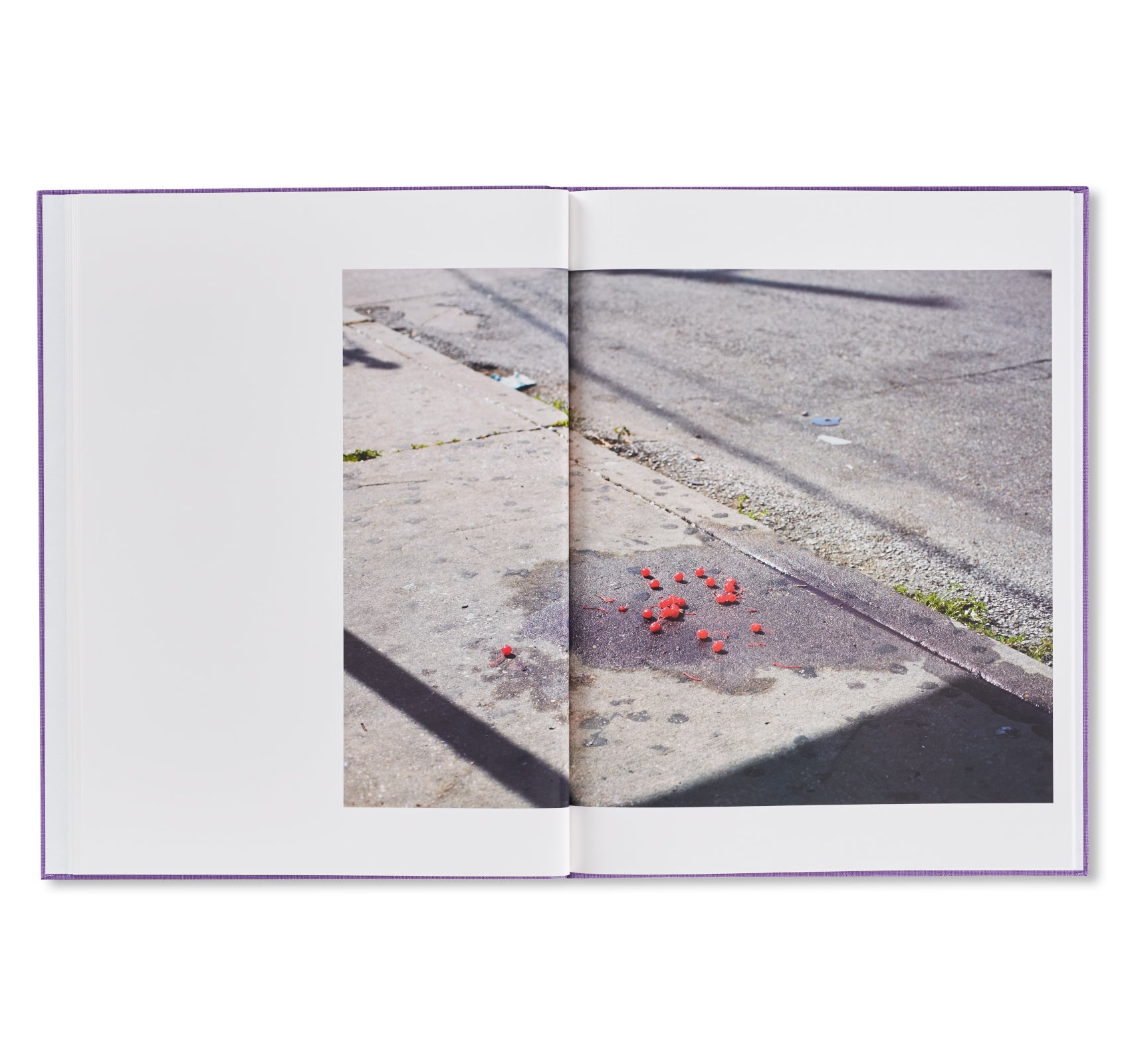 A SHIMMER OF POSSIBILITY by Paul Graham [SIGNED]