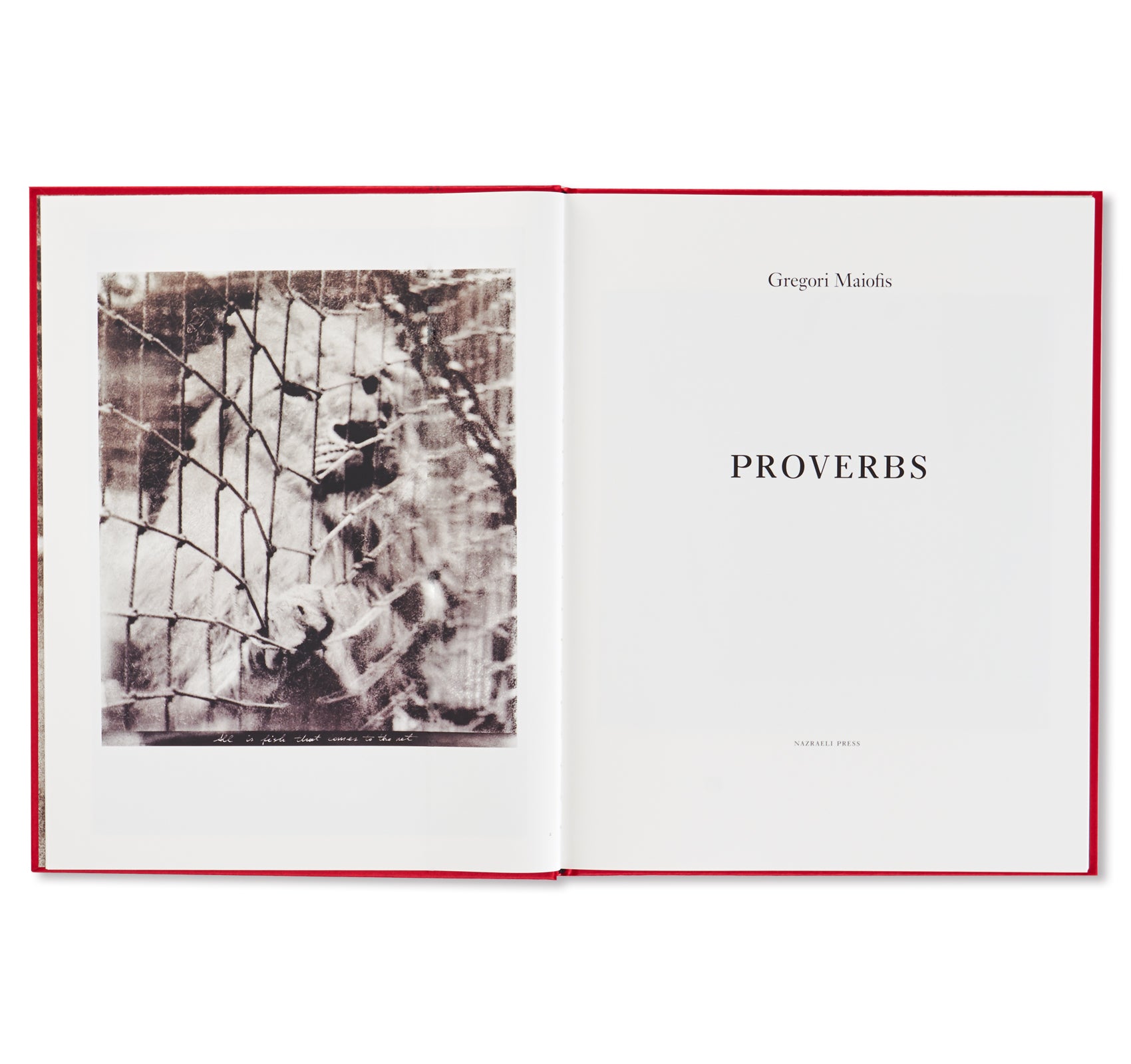 PROVERBS by Gregori Maiofis