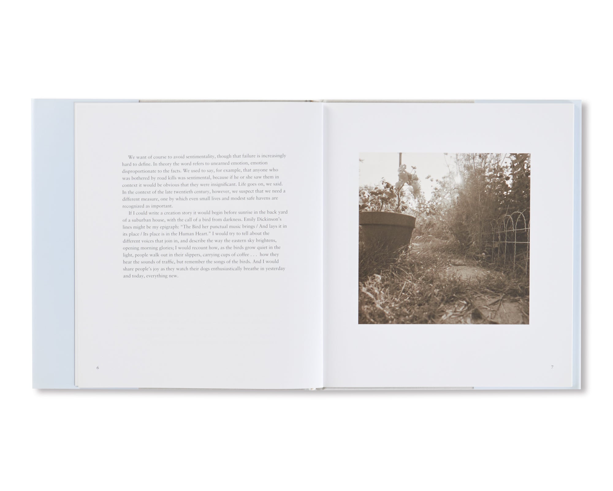 I HEAR THE LEAVES AND LOVE THE LIGHT by Robert Adams