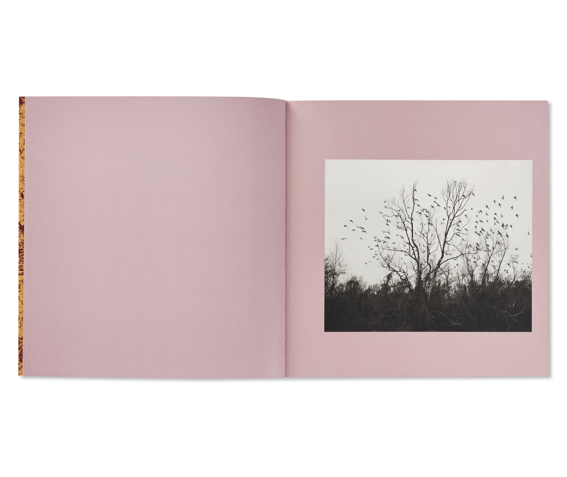 AND TIME FOLDS by Vanessa Winship [SIGNED]
