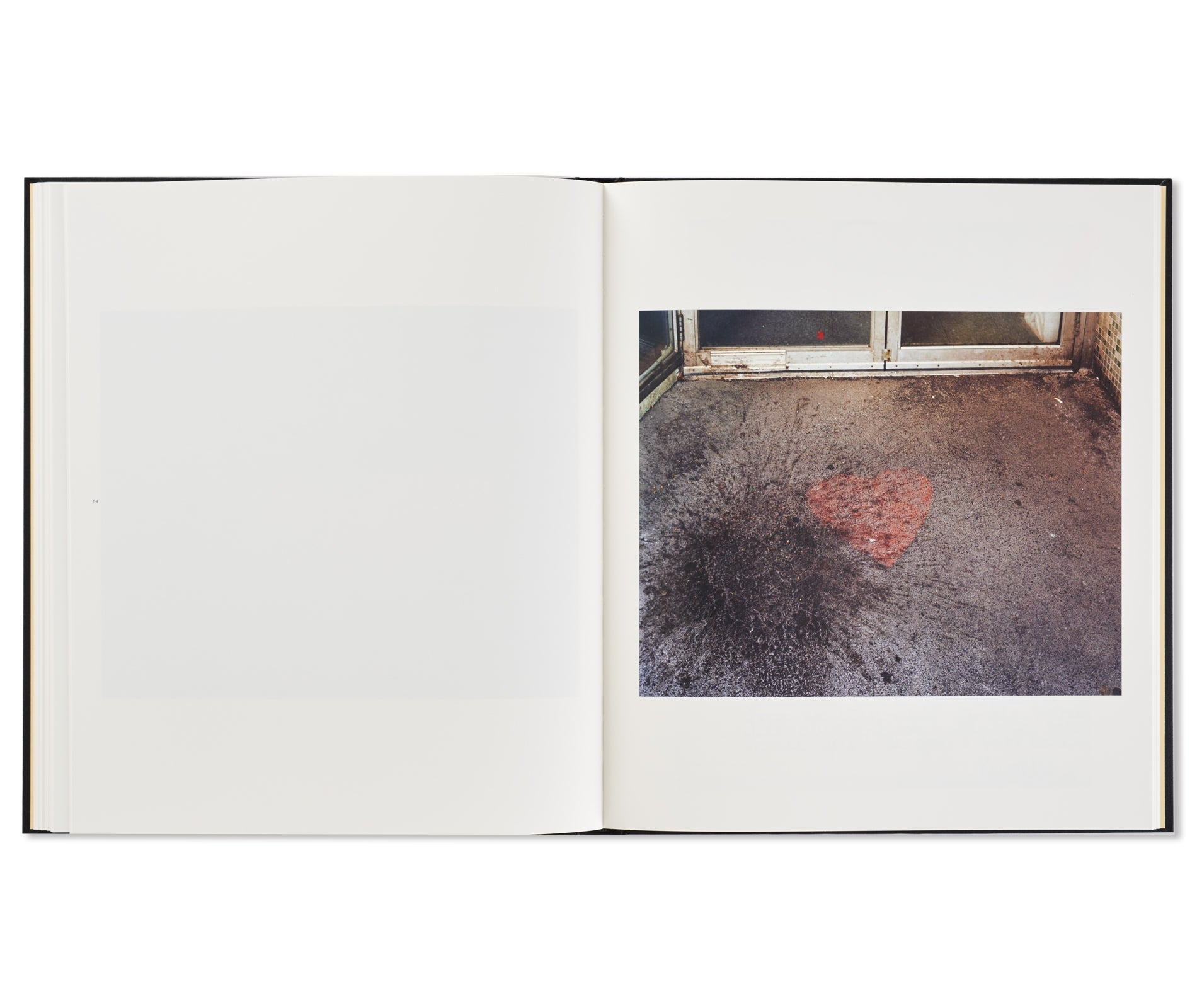 NIAGARA by Alec Soth [FIRST EDITION, SECOND PRINTING]