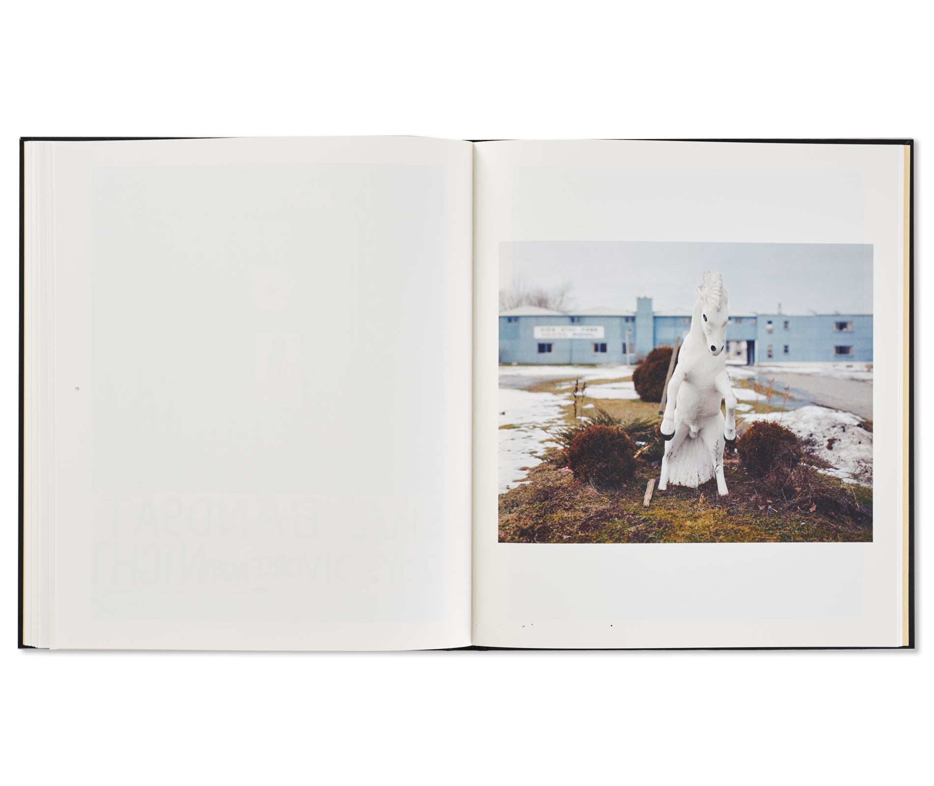 NIAGARA by Alec Soth [FIRST EDITION, SECOND PRINTING / SIGNED]