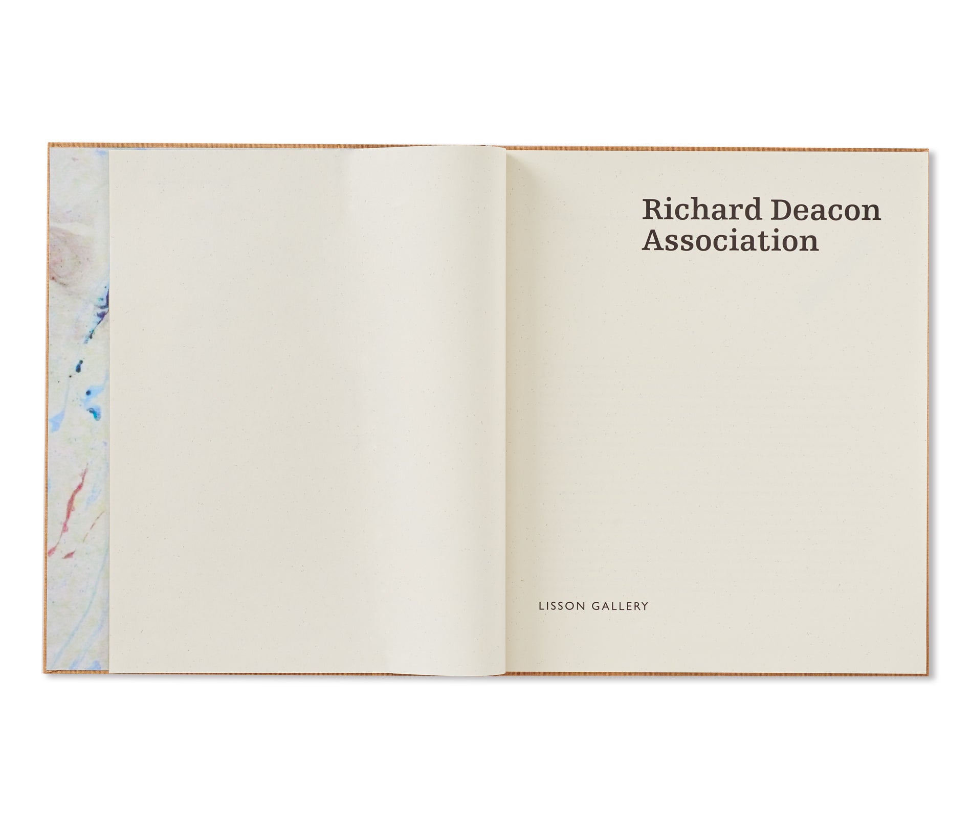 ASSOCIATION by Richard Deacon