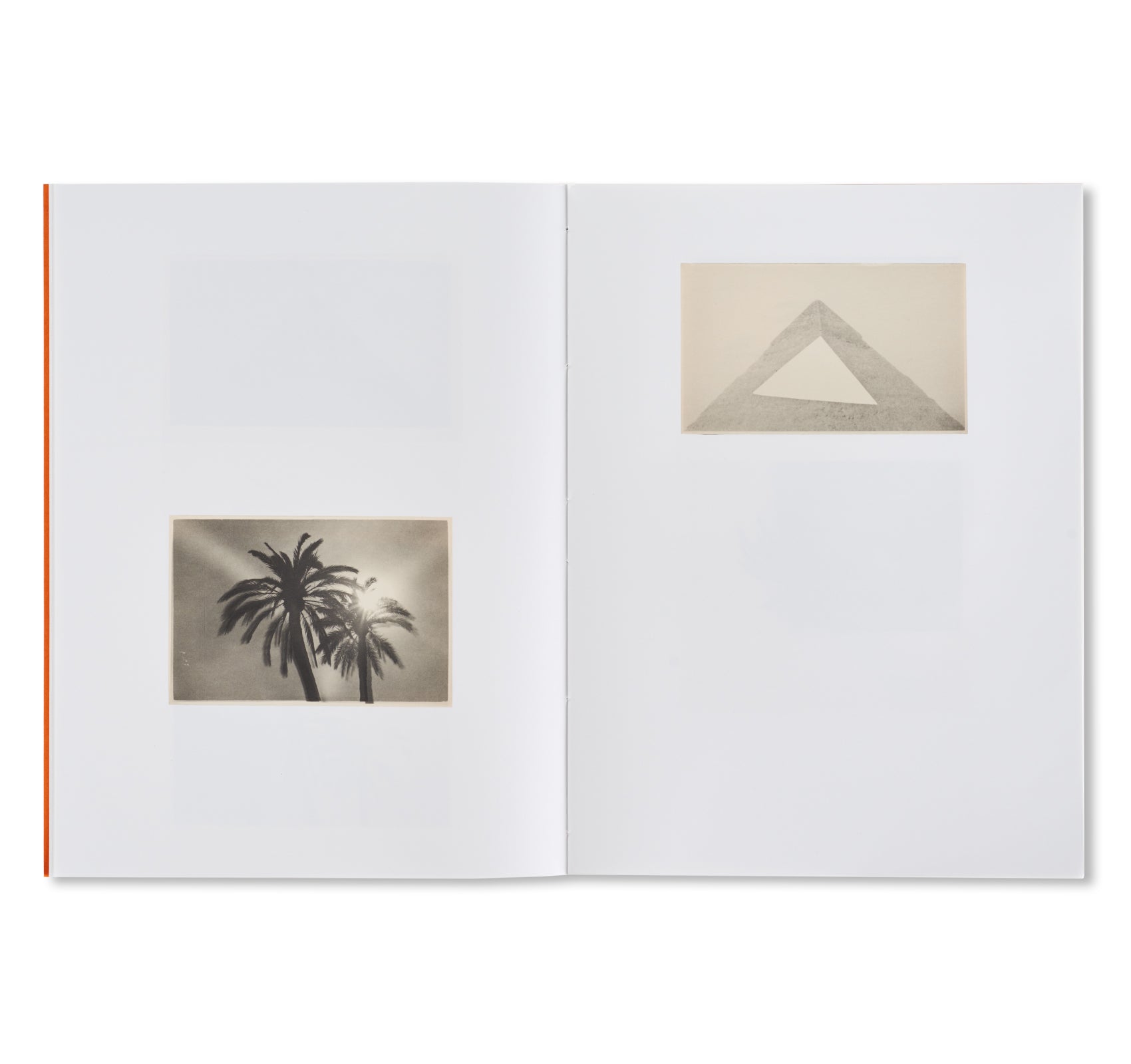 THE PYRAMIDS AND PALM TREES TEST by Bruno V. Roels [SPECIAL EDITION]