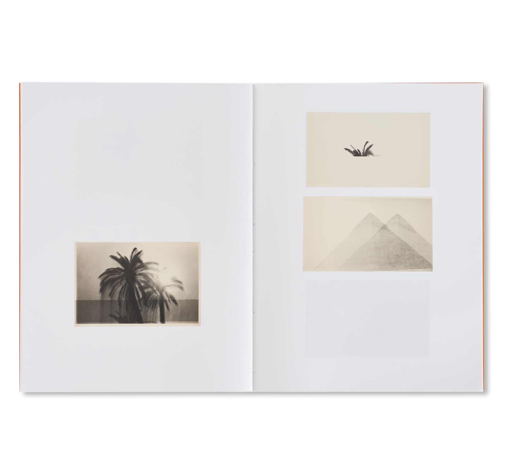 THE PYRAMIDS AND PALM TREES TEST by Bruno V. Roels [SPECIAL EDITION]