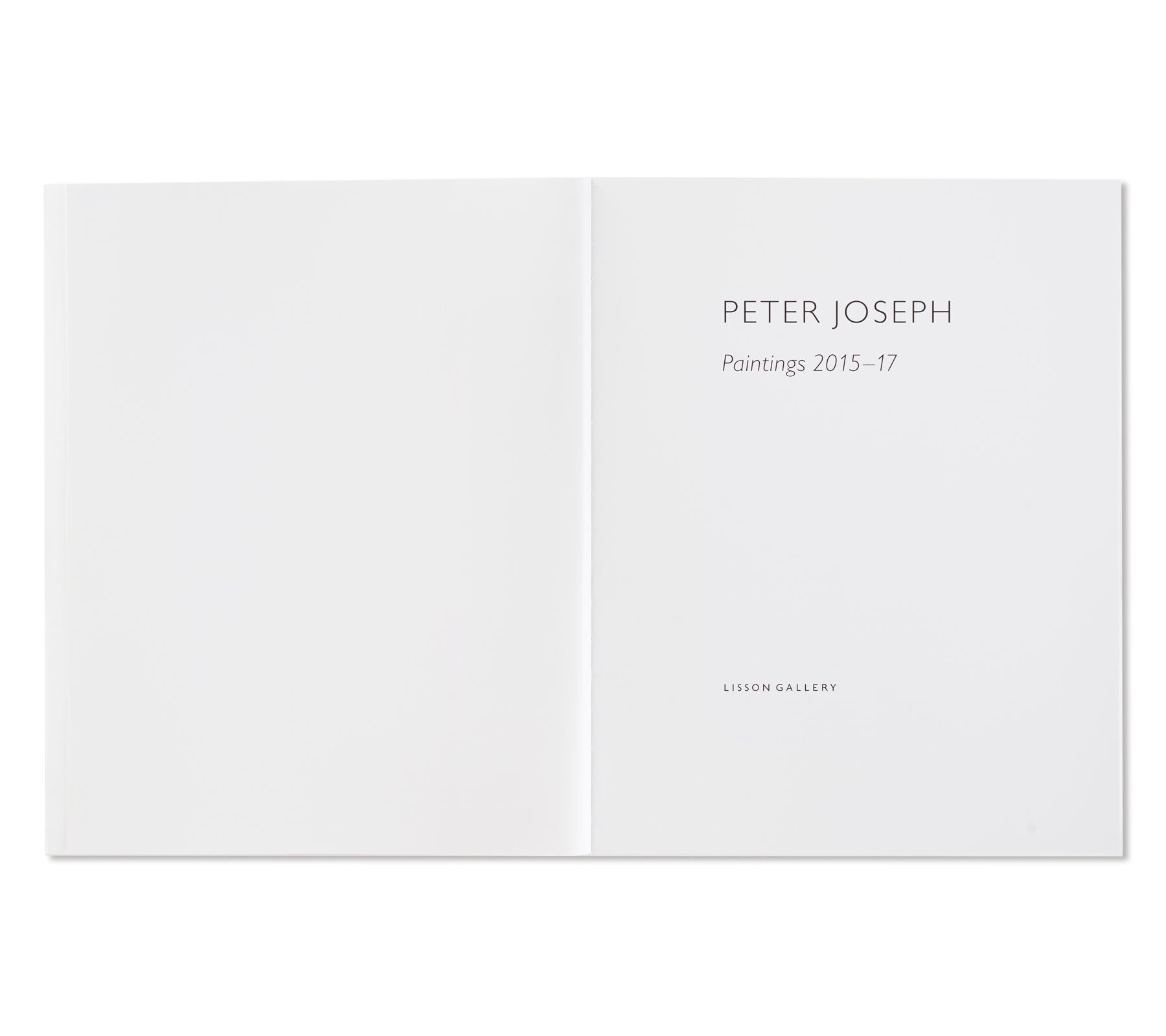 PAINTINGS 2015-2017 by Peter Joseph