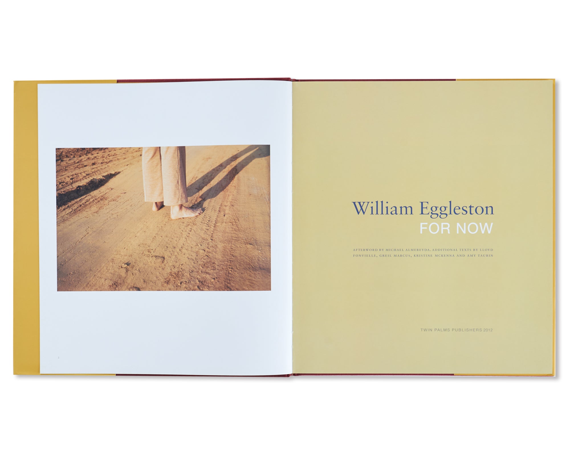FOR NOW by William Eggleston