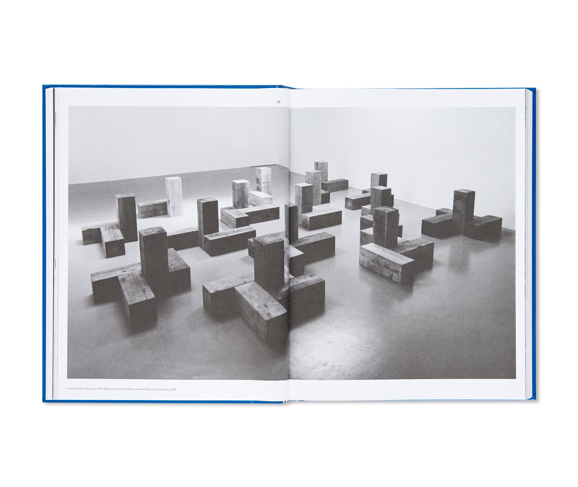 SCULPTURE AS PLACE, 1958–2010 by Carl Andre
