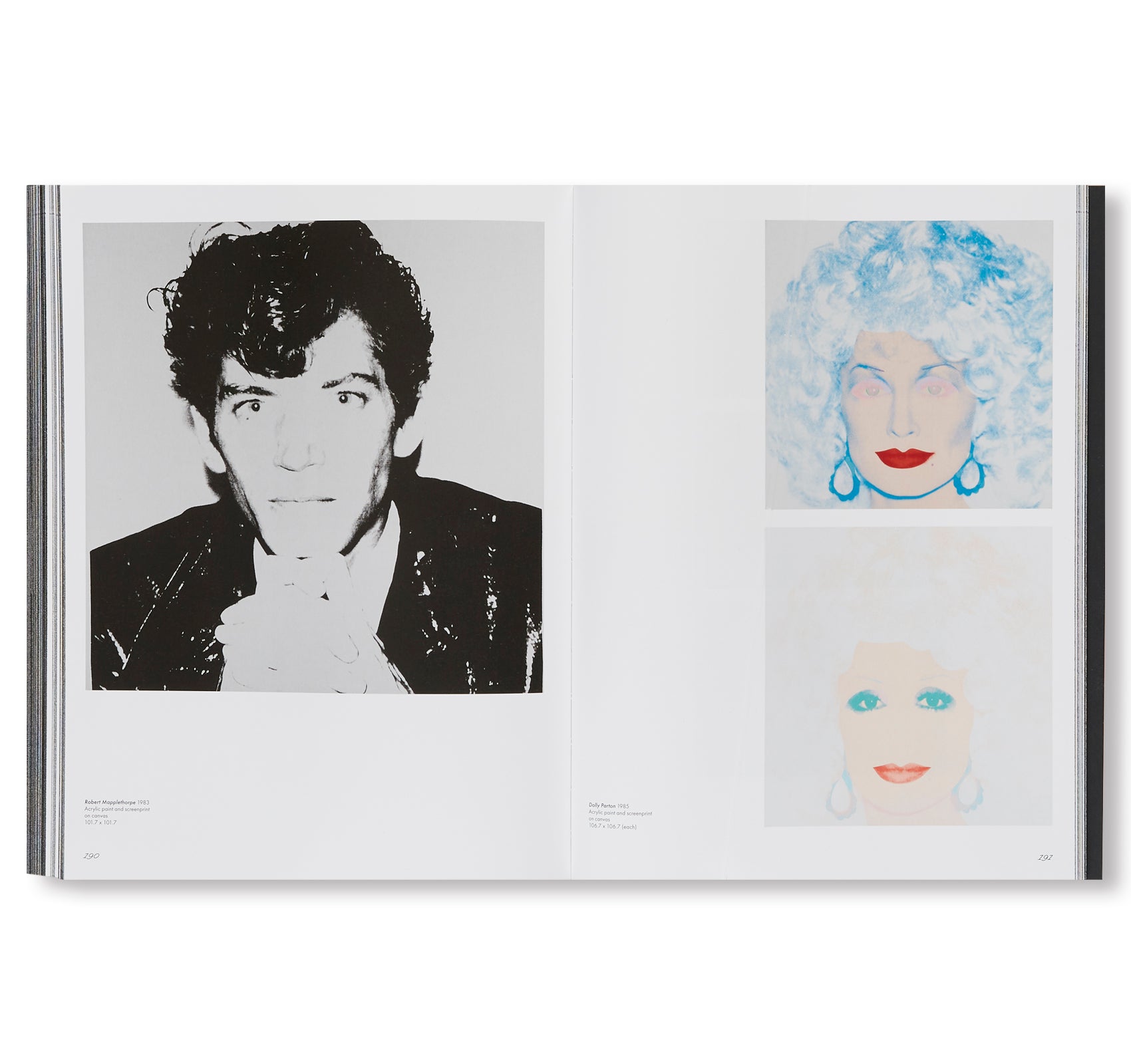 ANDY WARHOL by Andy Warhol [HARDCOVER]