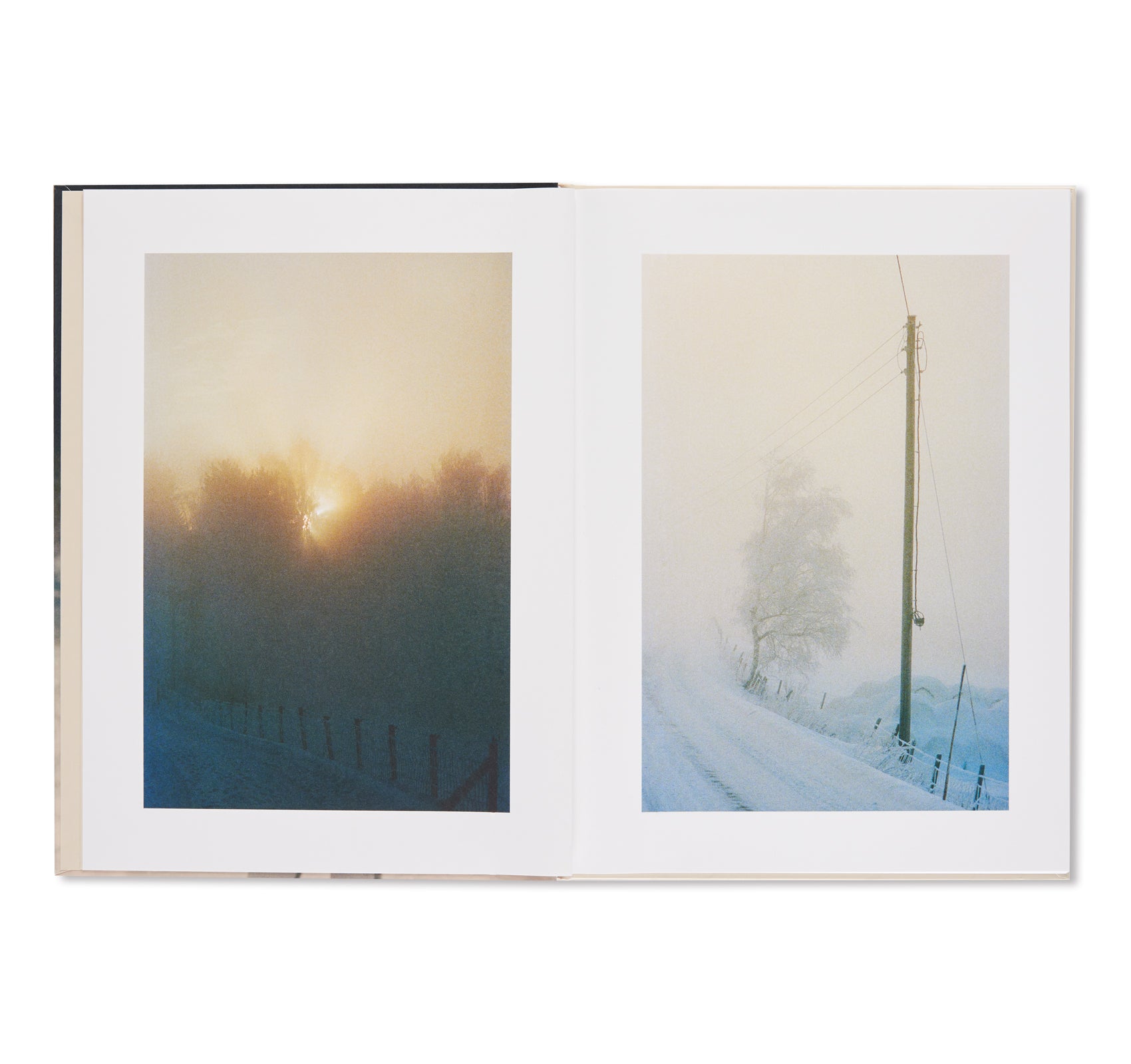 THUJORD by Ola Rindal