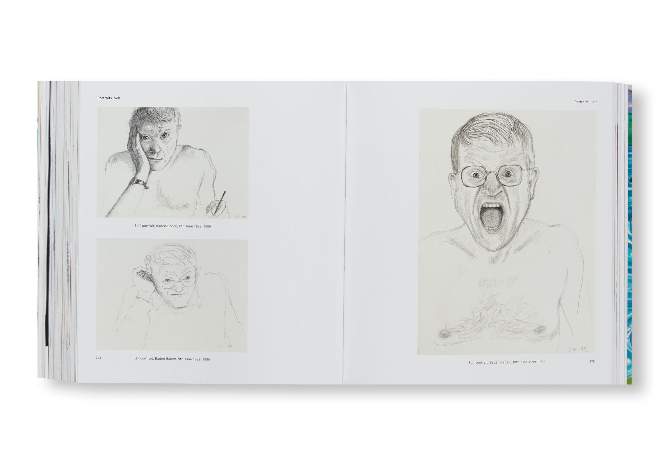 HOCKNEY'S PICTURES by David Hockney