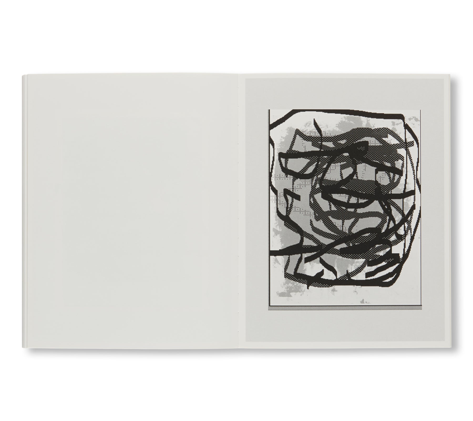CAN YOUR MONKEY DO THE DOG by Josh Smith, Christopher Wool