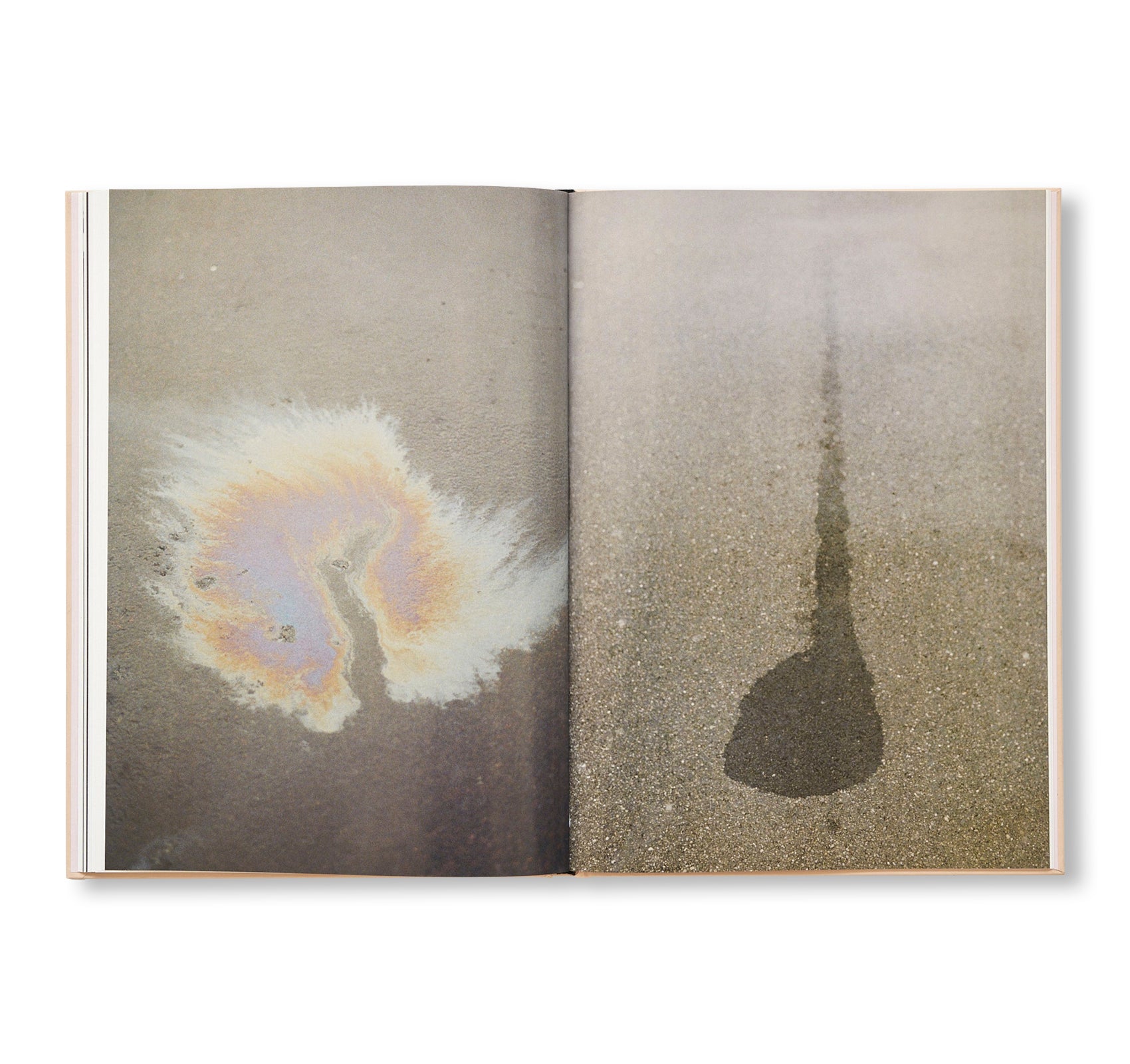 THE CLOUD, THE BIRD AND THE PUDDLE by Ola Rindal [SIGNED]