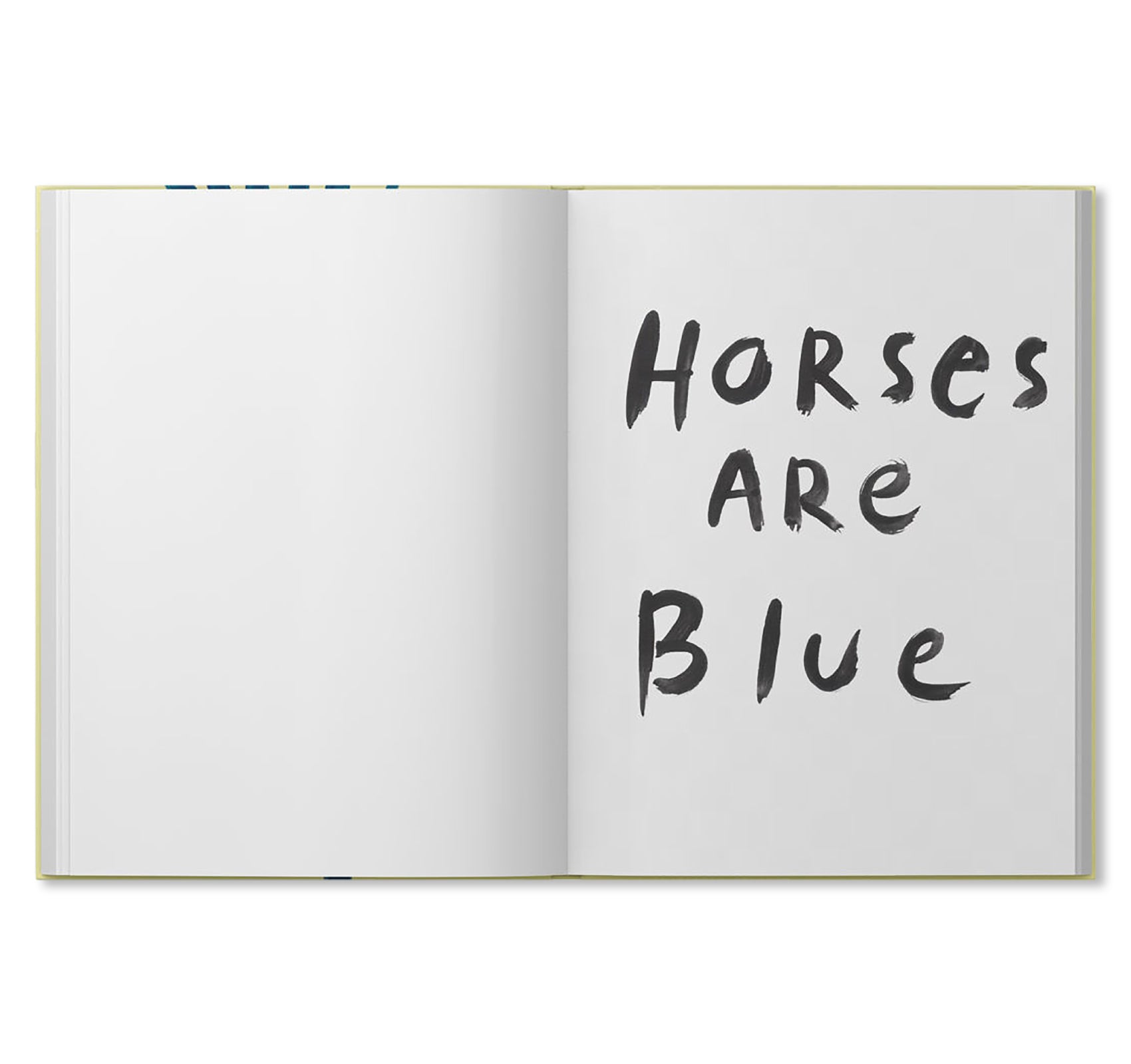 HORSES ARE BLUE by Iris de Moüy