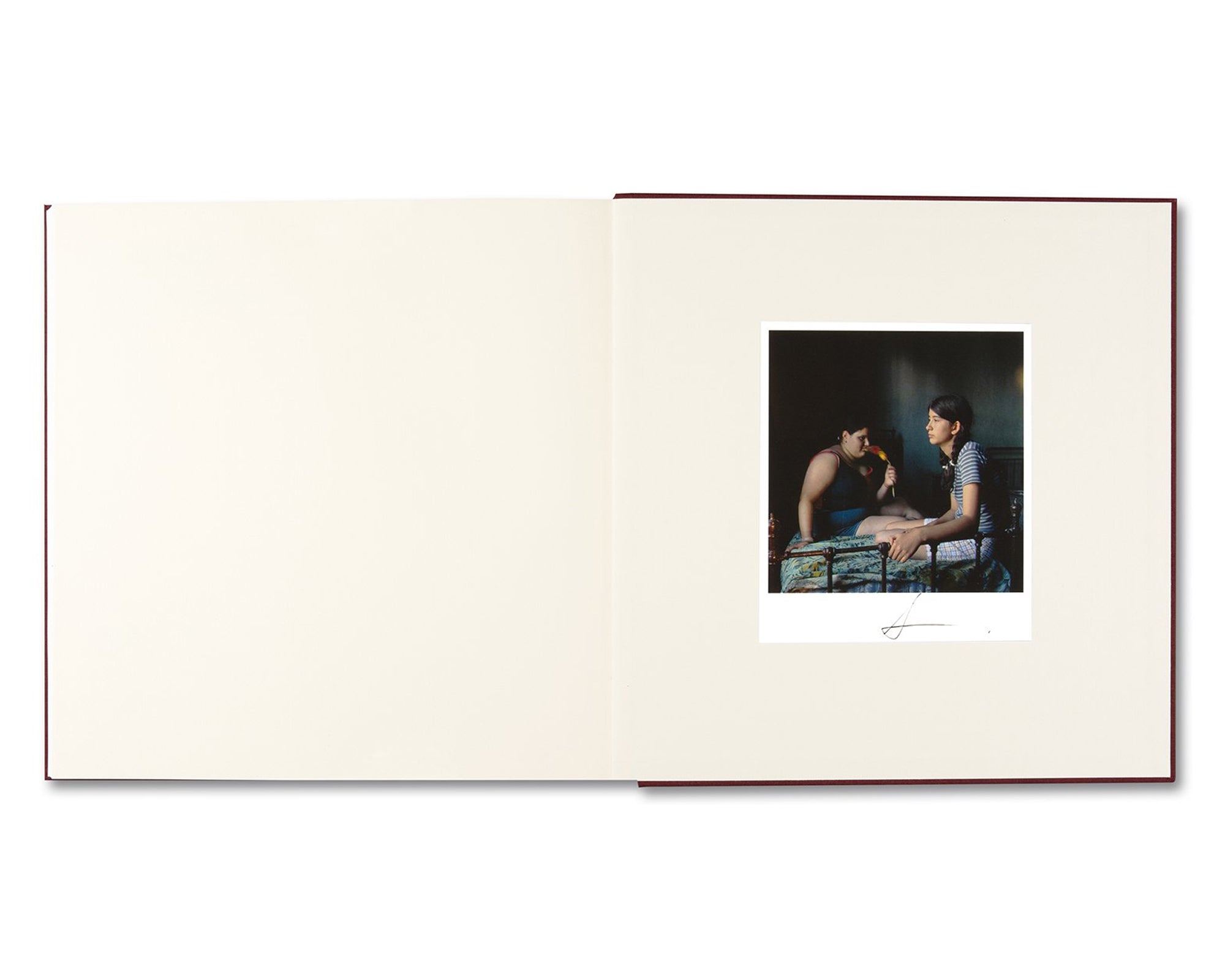 THE ADVENTURES OF GUILLE AND BELINDA AND THE ENIGMATIC MEANING OF THEIR DREAMS by Alessandra Sanguinetti [SIGNED]