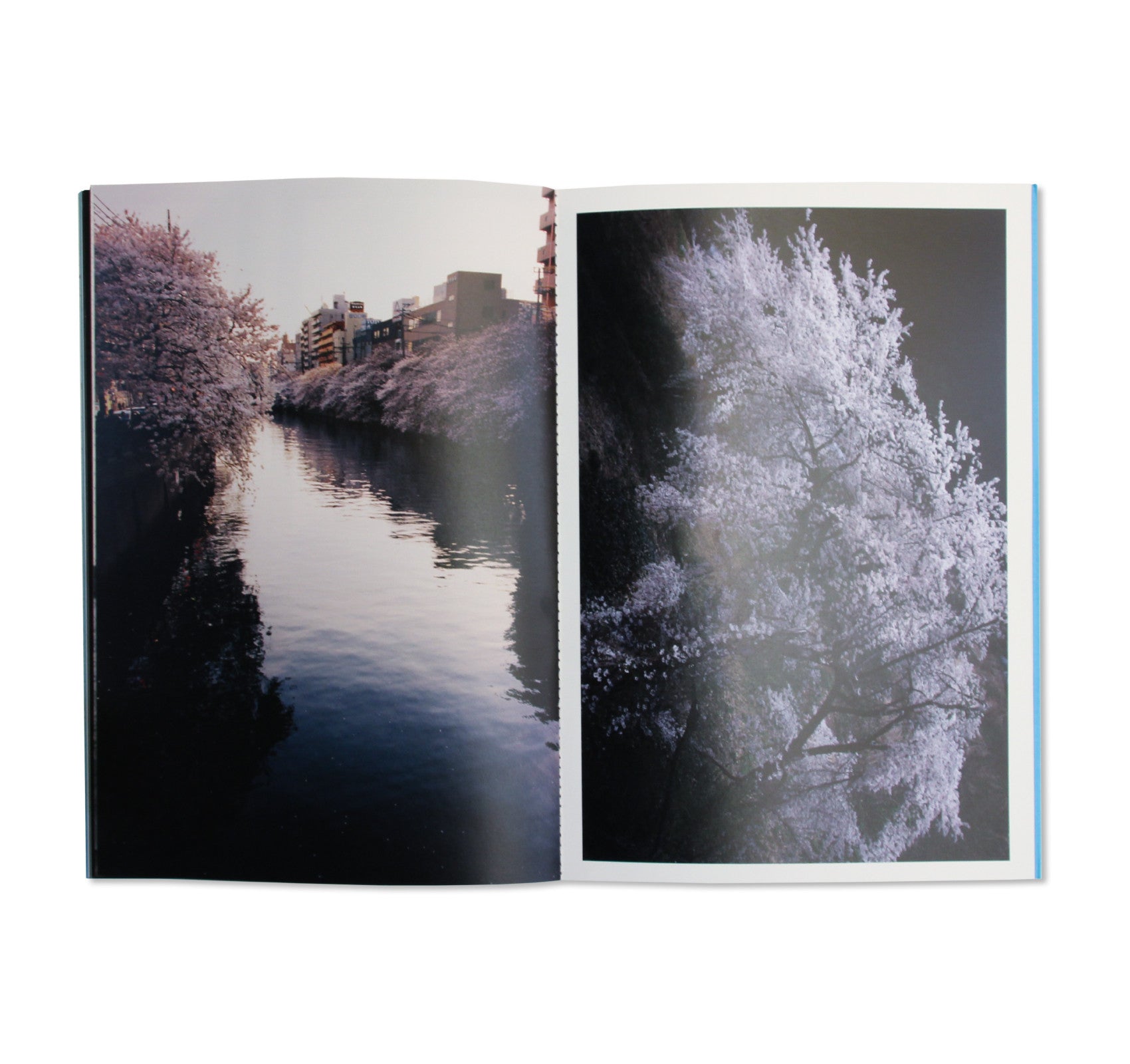 DROP OF LIGHT TO RUSHING WATER by Keiko Nomura [SIGNED]