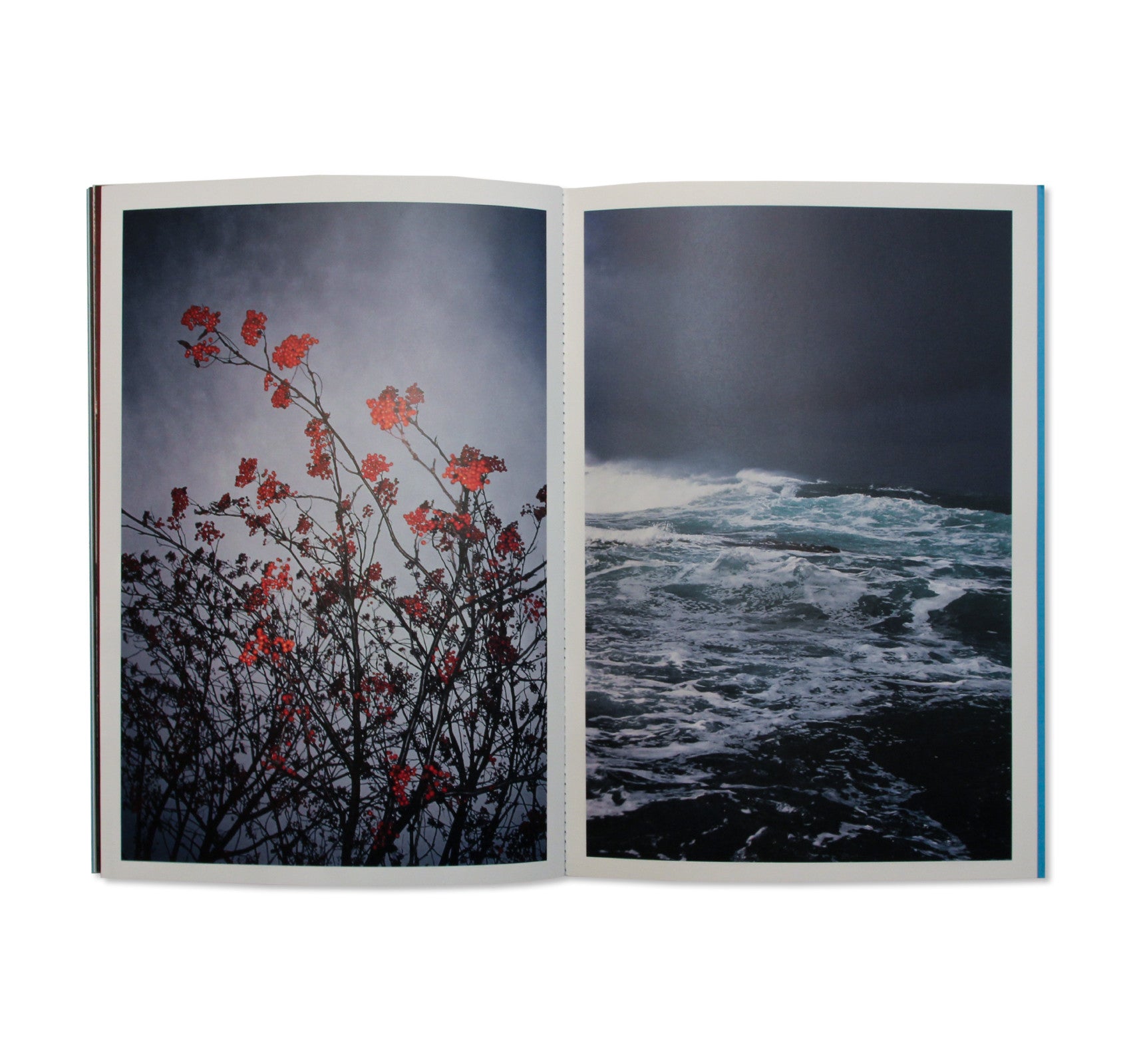DROP OF LIGHT TO RUSHING WATER by Keiko Nomura [SIGNED]