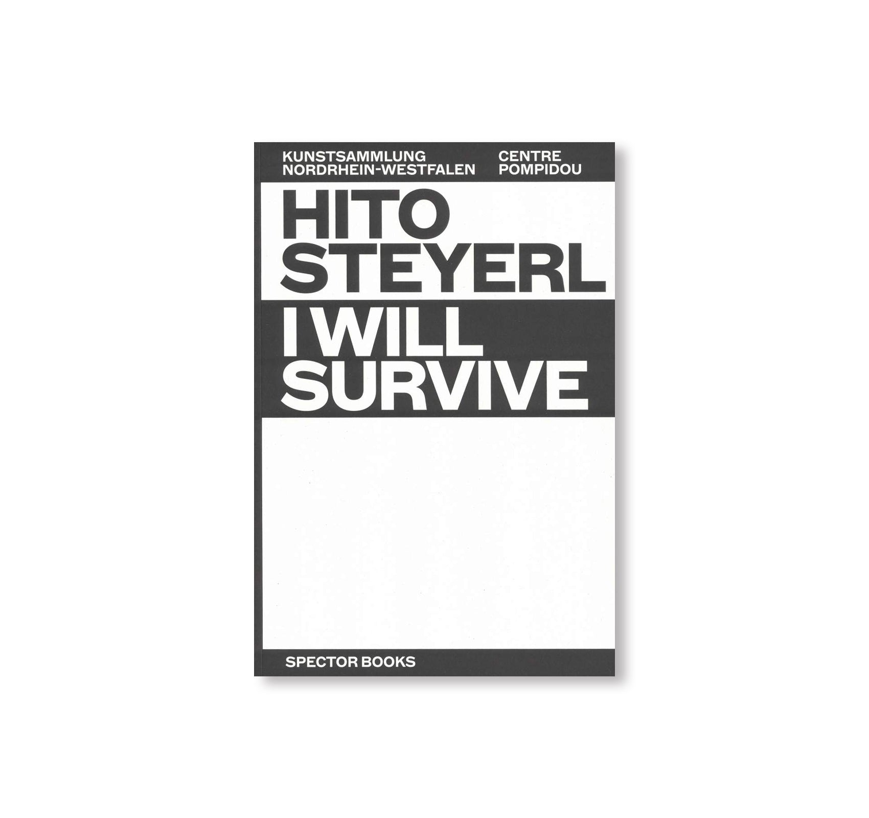 I WILL SURVIVE by Hito Steyerl
