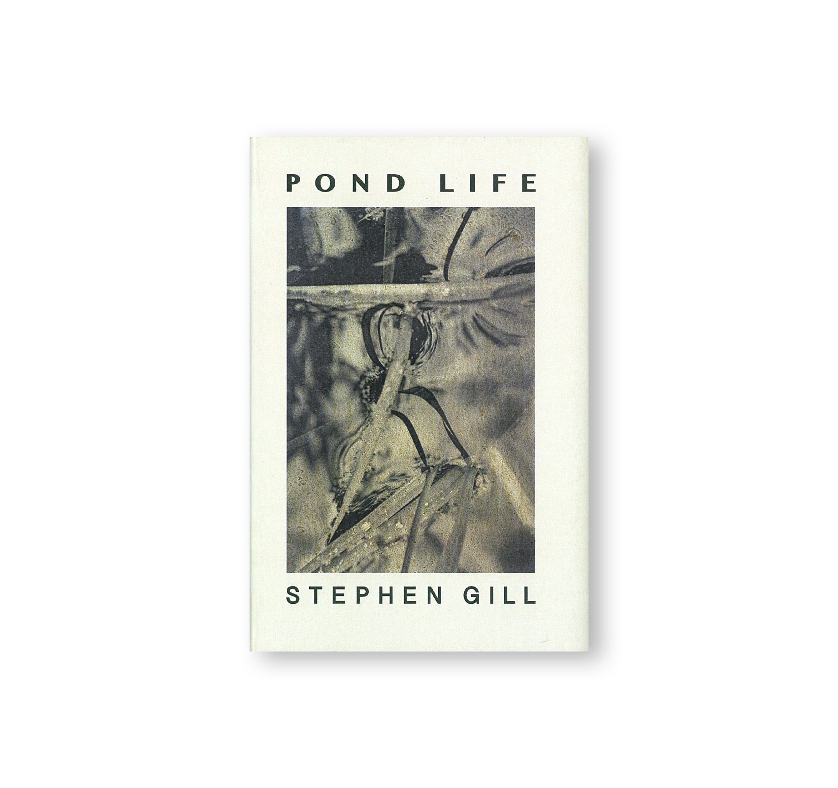 POND LIFE by Stephen Gill