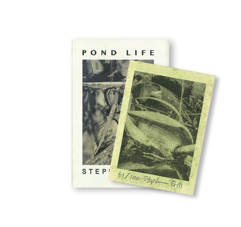 POND LIFE by Stephen Gill
