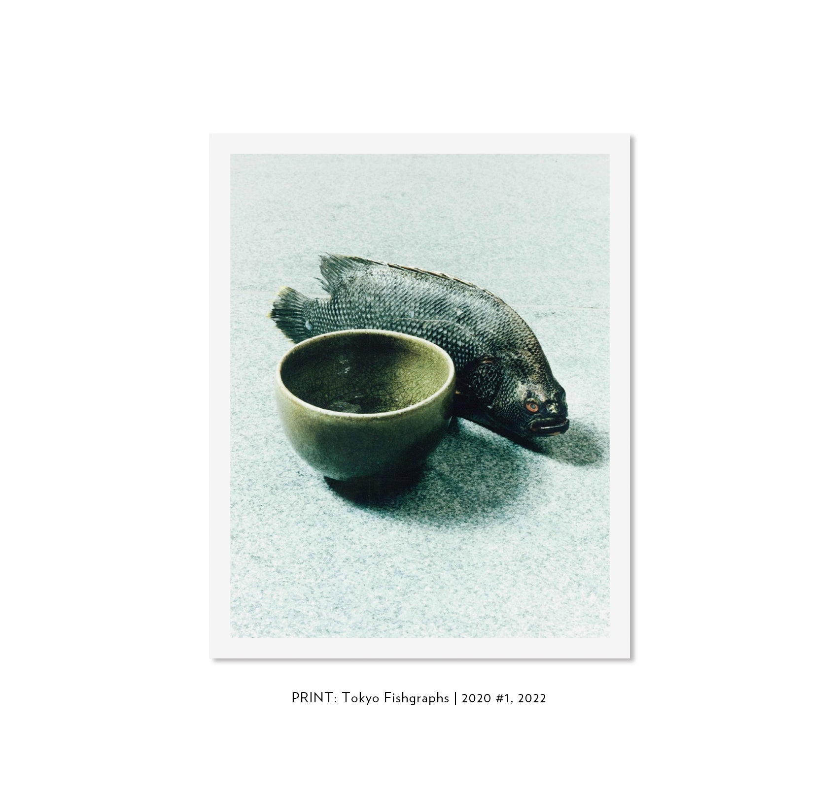 TOKYO FISHGRAPHS | 2020 by Naohiro Harada [SPECIAL EDITION]