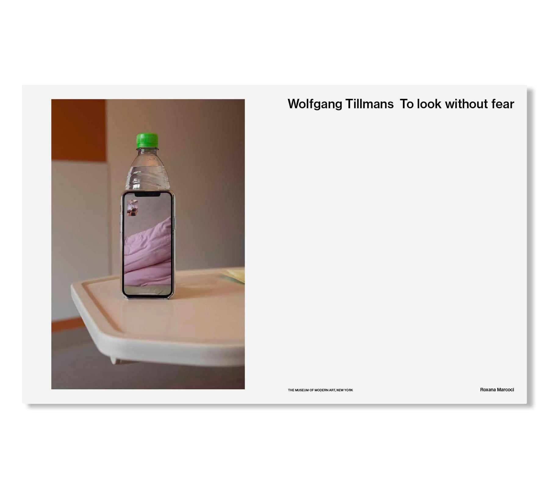 TO LOOK WITHOUT FEAR by Wolfgang Tillmans
