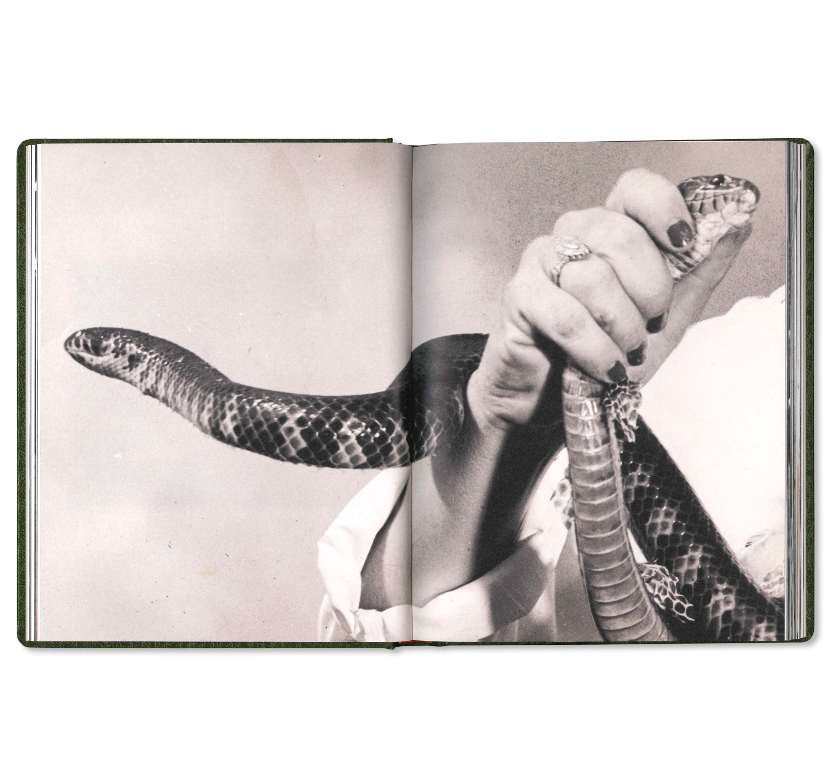 GIRL PLAYS WITH SNAKE by Clare Strand