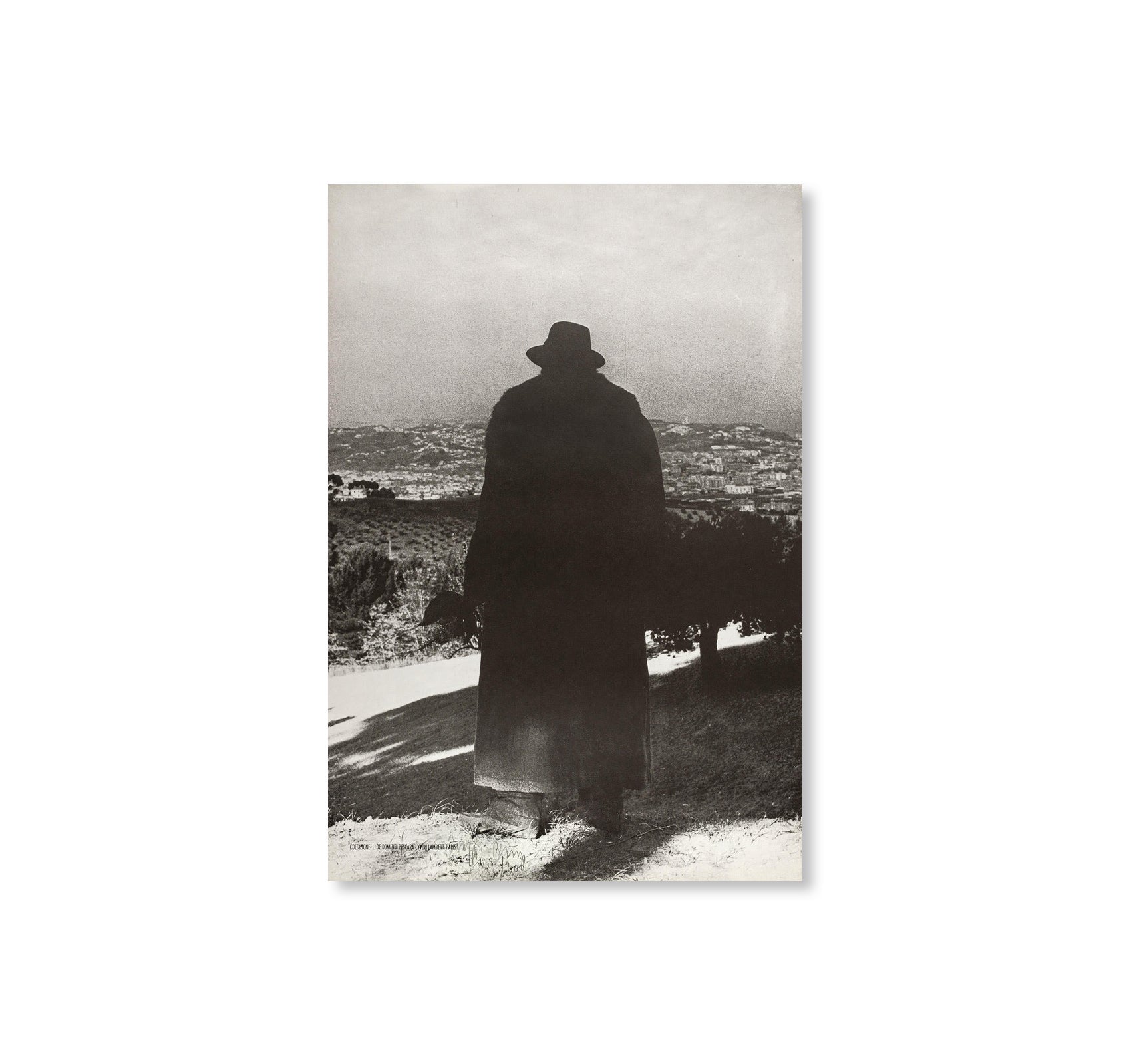 JOSEPH BEUYS: POSTERS AND DIFESA DELLA NATURA (CLAVICEMBALO) by Joseph Beuys